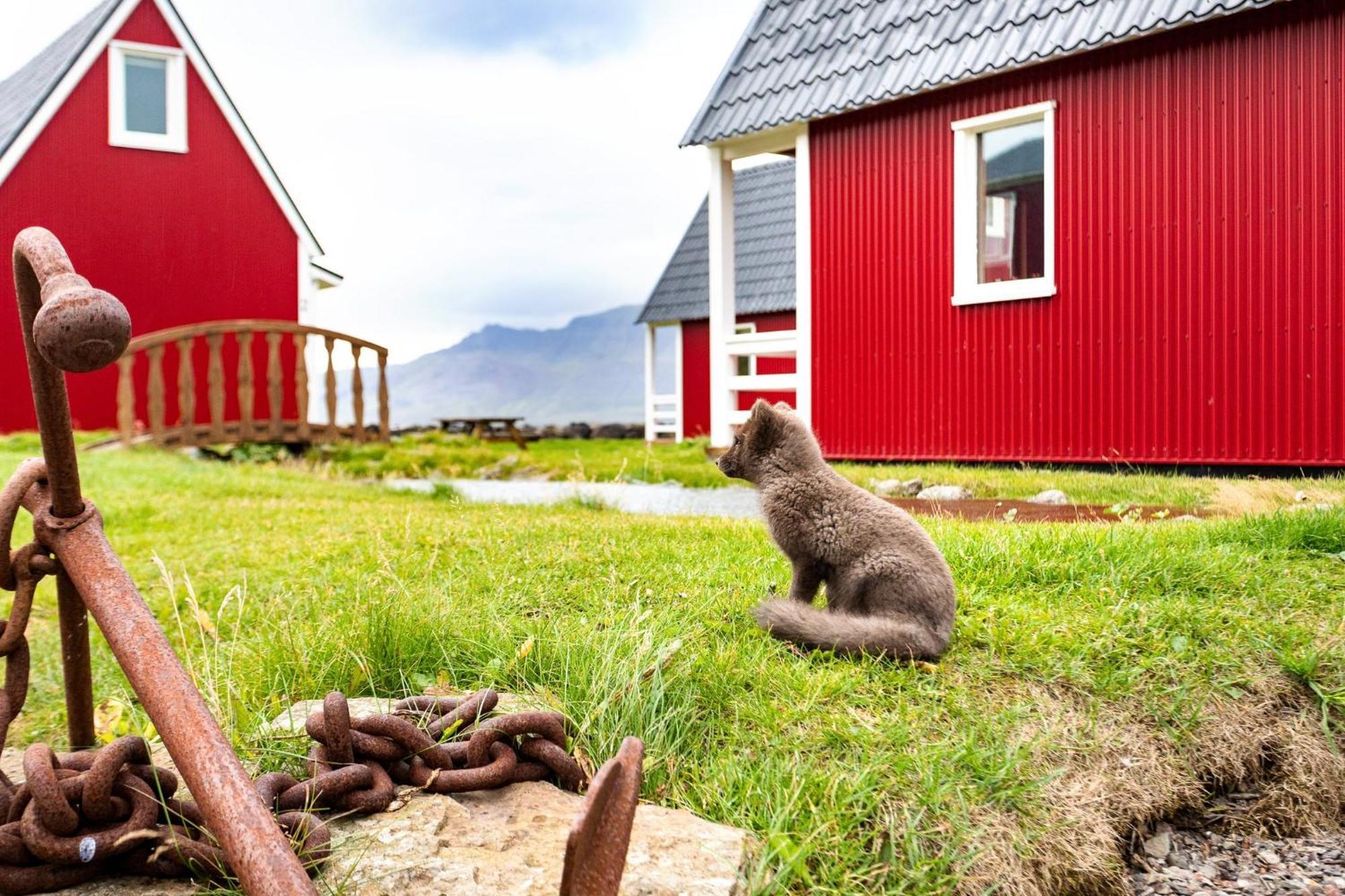Holiday home Mjoeyri Travel Homes Eskifjorthur